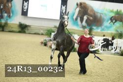 24R13_00232 thumbnail