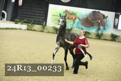 24R13_00233 thumbnail