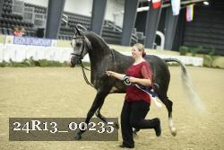 24R13_00235 thumbnail