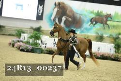 24R13_00237 thumbnail