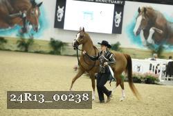 24R13_00238 thumbnail