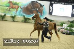 24R13_00239 thumbnail