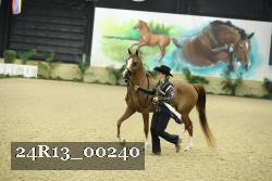 24R13_00240 thumbnail