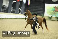 24R13_00241 thumbnail