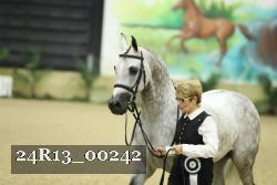 24R13_00242 thumbnail