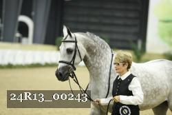 24R13_00243 thumbnail