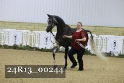 24R13_00244 thumbnail