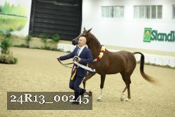 24R13_00245 thumbnail
