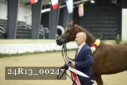 24R13_00247 thumbnail