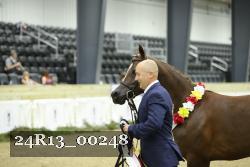 24R13_00248 thumbnail