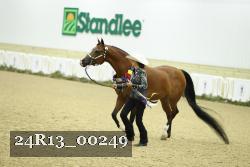 24R13_00249 thumbnail