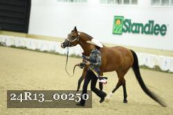 24R13_00250 thumbnail