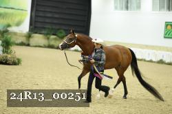 24R13_00251 thumbnail