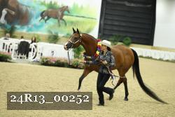 24R13_00252 thumbnail