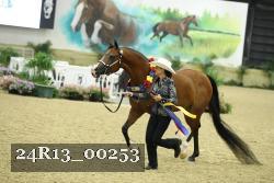 24R13_00253 thumbnail