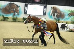 24R13_00254 thumbnail