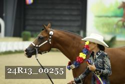 24R13_00255 thumbnail
