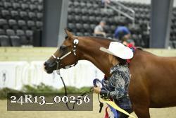 24R13_00256 thumbnail