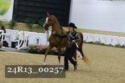 24R13_00257 thumbnail