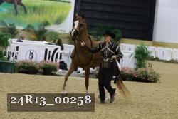 24R13_00258 thumbnail