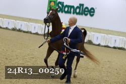 24R13_00259 thumbnail