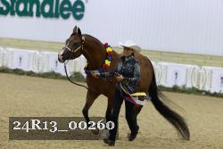 24R13_00260 thumbnail
