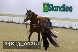 24R13_00261 thumbnail