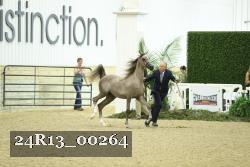 24R13_00264 thumbnail