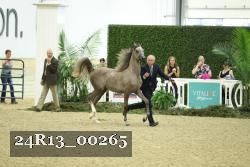 24R13_00265 thumbnail