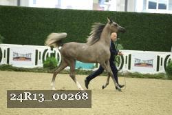 24R13_00268 thumbnail