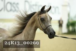 24R13_00269 thumbnail