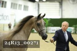 24R13_00271 thumbnail