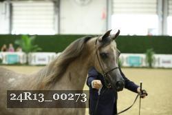 24R13_00273 thumbnail