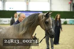 24R13_00274 thumbnail