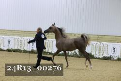 24R13_00276 thumbnail