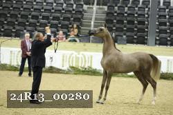 24R13_00280 thumbnail