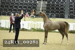 24R13_00281 thumbnail