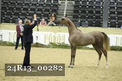 24R13_00282 thumbnail