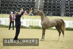 24R13_00285 thumbnail