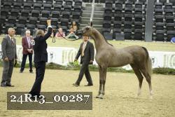 24R13_00287 thumbnail