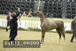 24R13_00290 thumbnail