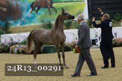 24R13_00291 thumbnail