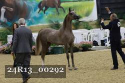 24R13_00292 thumbnail