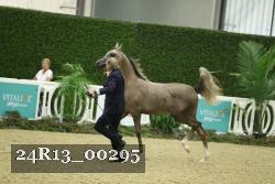 24R13_00295 thumbnail