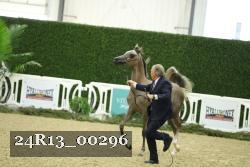 24R13_00296 thumbnail
