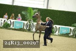 24R13_00297 thumbnail