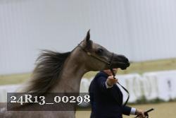24R13_00298 thumbnail