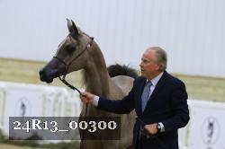 24R13_00300 thumbnail