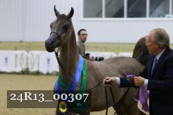 24R13_00307 thumbnail