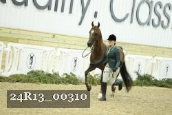 24R13_00310 thumbnail